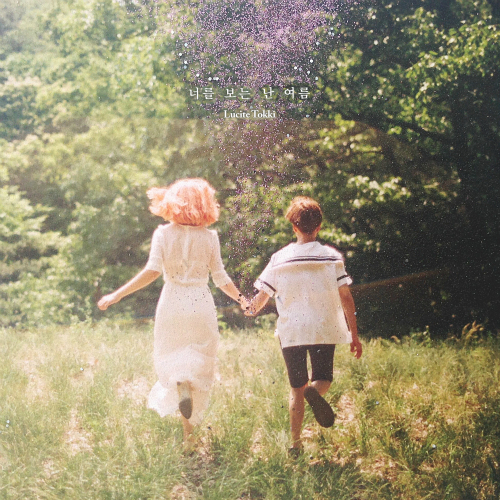 Wallflower by Lucite Tokki